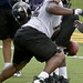 Todd Terrell Photo 15