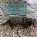 Sharon Link Photo 14