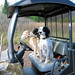 Elaine Carlson Photo 38
