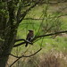 Jay Heath Photo 16