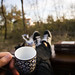 John Corso Photo 43