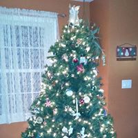 Terri Hodge Photo 15