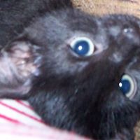 Junior Sweet Photo 22