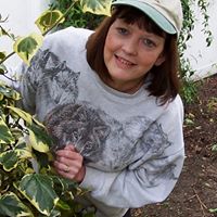 Paula Stringer Photo 9