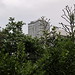 Ronald Ward Photo 18