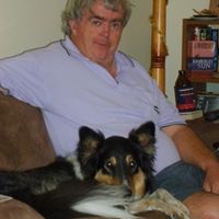 Harry Sinclair Photo 25