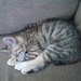 Amy Couch Photo 16