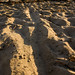 Mark Ellwood Photo 23