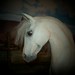 Debra Gray Photo 14