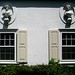 David Adler Photo 20