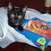 Judy Haynes Photo 9