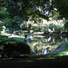 Gale Scott Photo 21