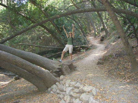 Sue Carroll Photo 1