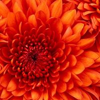John Philipose Photo 16