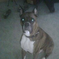 Adam Dotson Photo 13