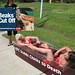 Colleen Higgins Photo 8