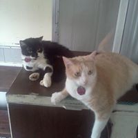 Teresa Jaimes Photo 18