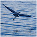 Robert Engles Photo 9