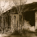 Gary Mann Photo 22