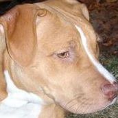 Micheal Fortner Photo 1