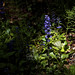 Marianne Hendricks Photo 9
