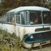 Harold Welsh Photo 10