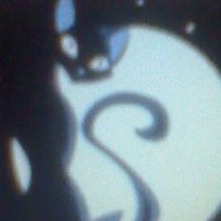 Heather Dameron Photo 2