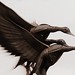 Crystal Drake Photo 13