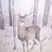 Kelly Buck Photo 33