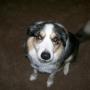 Cathy Mcgee Photo 18