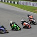 Tom Gamble Photo 32