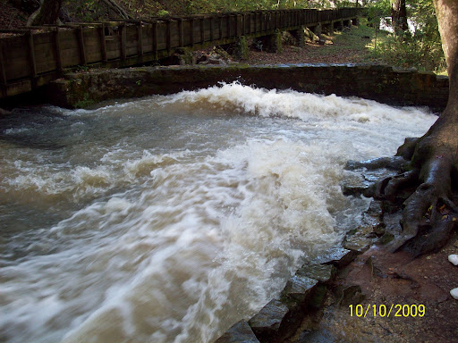 Carrie Hendricks Photo 15