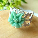 Robin Ring Photo 25