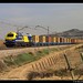Marc Conti Photo 13
