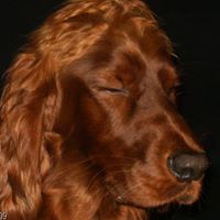 Roberta Robertson Photo 20