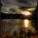 Allen Hartman Photo 13