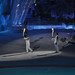 Nancy Lemay Photo 15