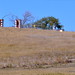 Douglas Martineau Photo 8