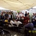 Todd Goode Photo 31