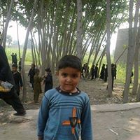Syed Aqeel Photo 17