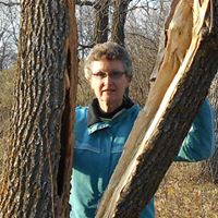 Nancy Wood Photo 13