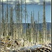 Rachel Mountain Photo 5