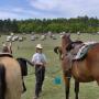 Debra Weber Photo 12
