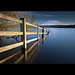 Lee Ingram Photo 16