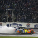 Jeff Lowe Photo 29