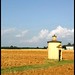 Lori Campagna Photo 18