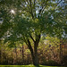 David Bartlett Photo 19