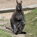 Christine Dudley Photo 17