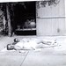 Barbara Arnold Photo 9
