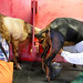 Kristina Barker Photo 14